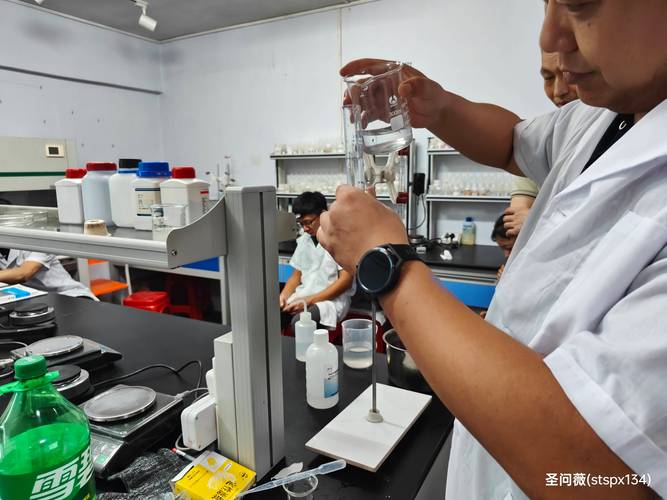 2025幼师资格证综合考什么?-图3 2025幼师资格证综合考什么?-图3