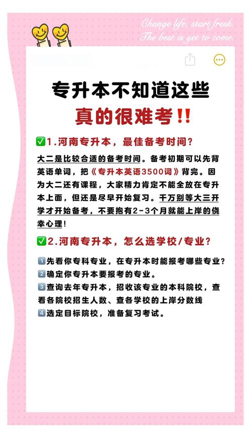 幼师专升本失利后，还有哪些出路可选？-图3