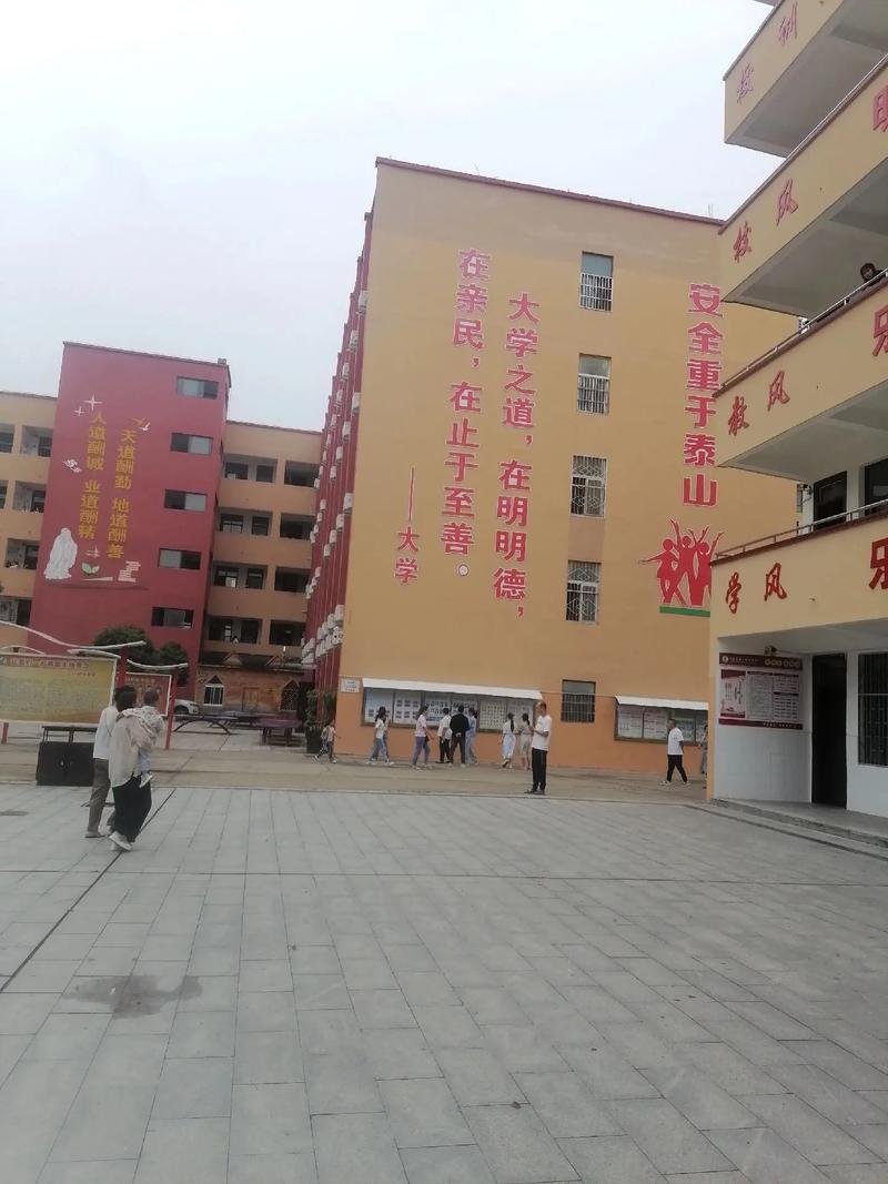 初中毕业后,职高、普高、中专选哪个好?-图1 初中毕业后,职高、普高、中专选哪个好?-图1