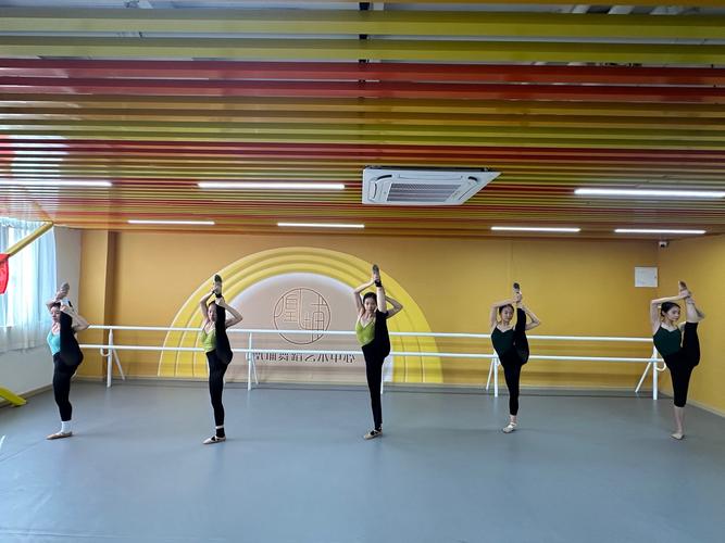 长春舞蹈培训学校 高中-图2