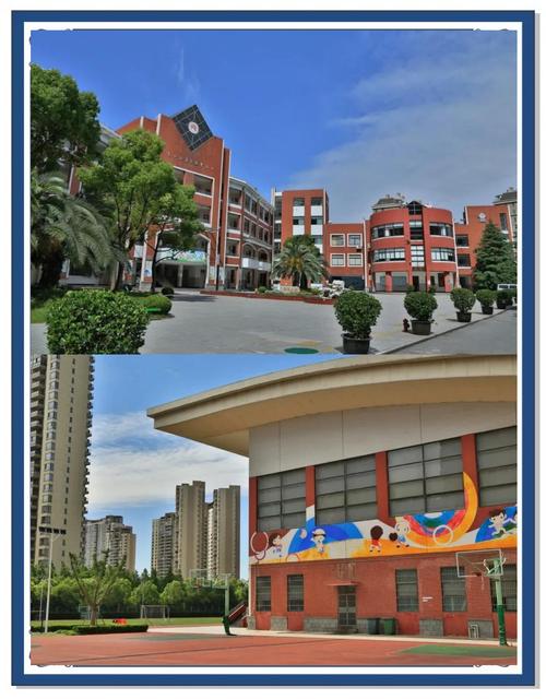 上海进才国际部小学有何独特优势？-图3