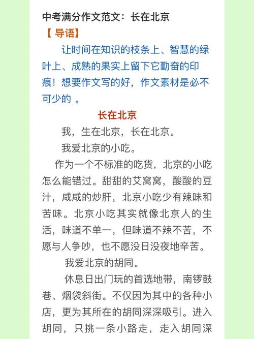 北京小学作文需要多少字-图3