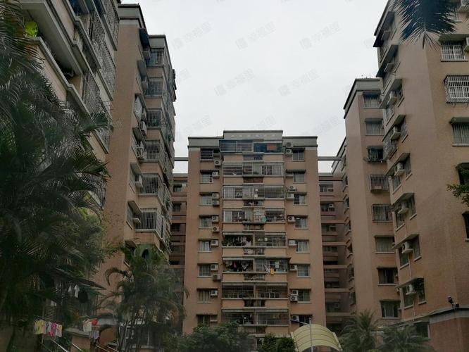 广州芳村有哪些初中学校？-图1