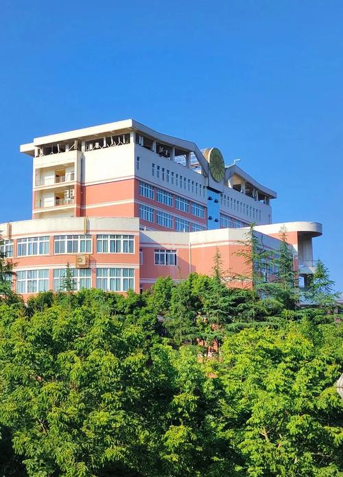 西华大学幼师专业实力如何？就业前景怎么样？-图3