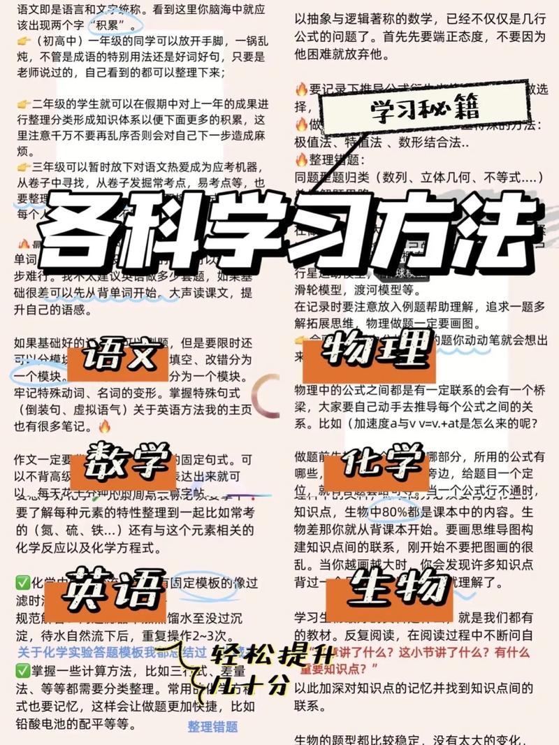 初中阶段可选哪些实用专业技能？-图3