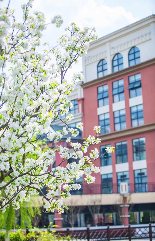 贵阳幼师专业学校有哪些？选择时要注意什么？-图3