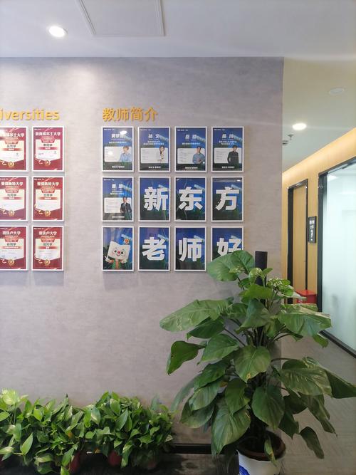 新东方初中辅导与机构,哪家更适合孩子?-图1 新东方初中辅导与机构,哪家更适合孩子?-图1