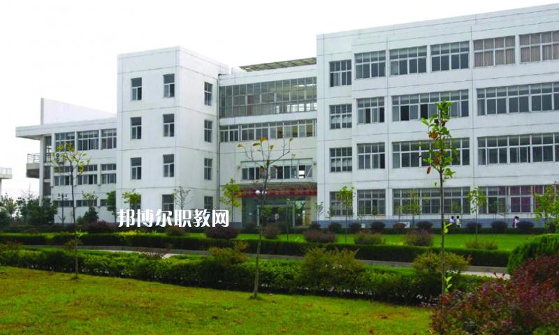 安徽幼师专业大专院校有哪些好选择？-图3
