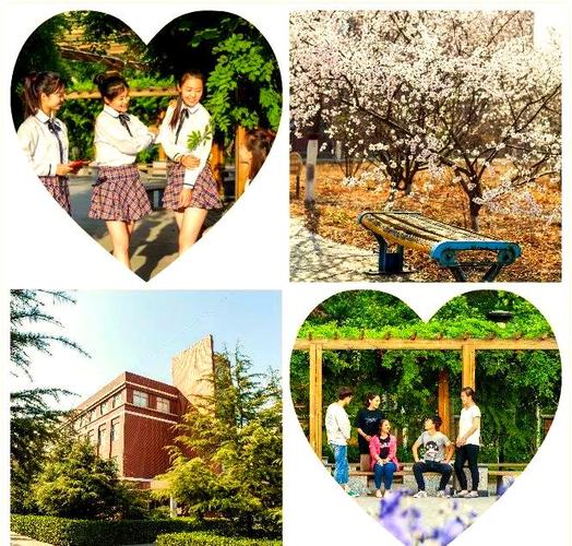 石家庄学幼师专业的学校-图2