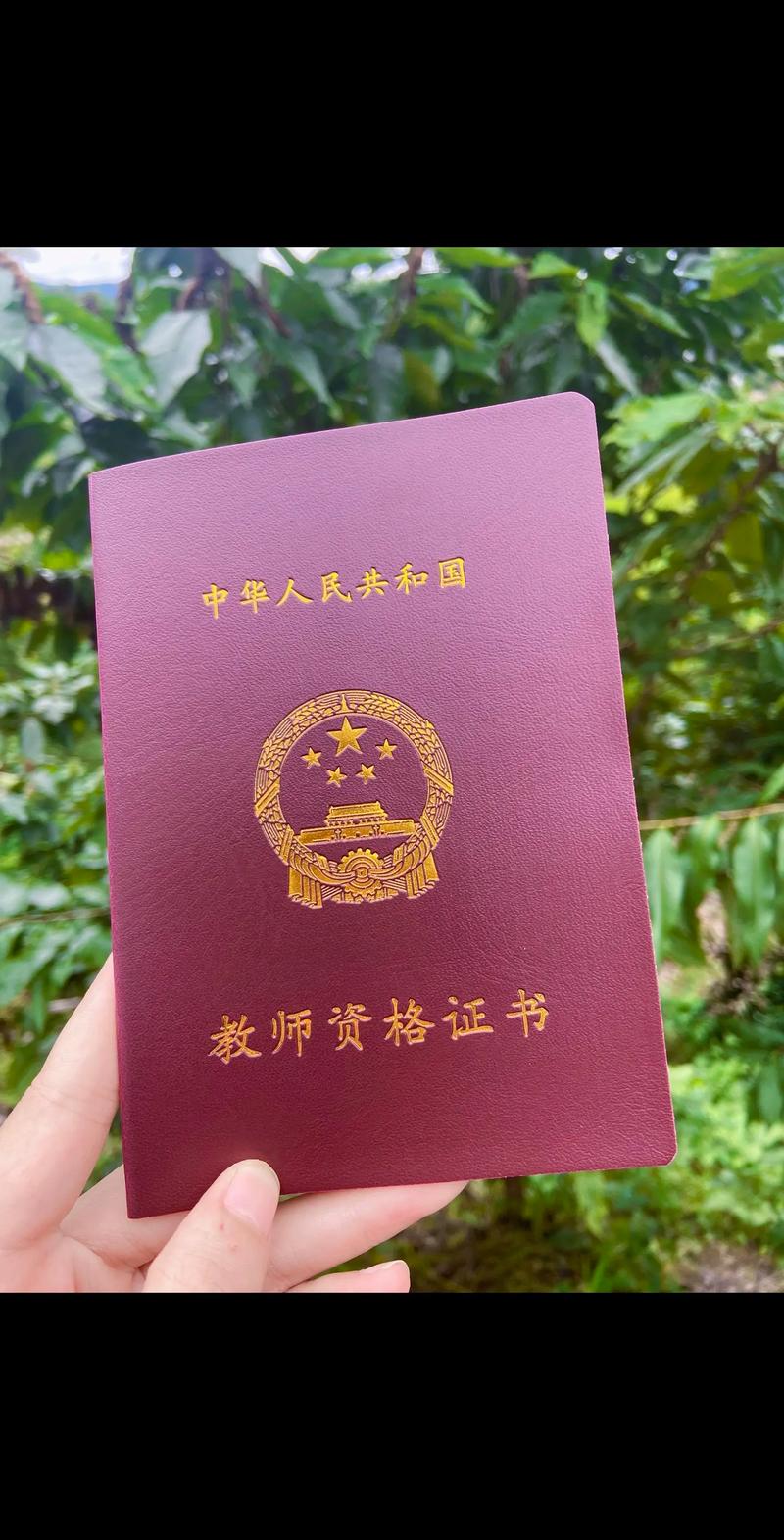 中专可以拿幼师职业证吗-图3 中专可以拿幼师职业证吗-图3