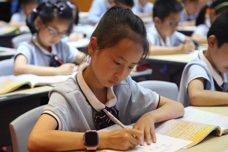 温州小学作文培训哪里好-图1