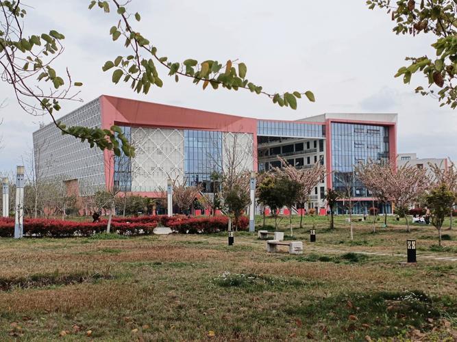 成都幼师职业学院哪所专业实力最强？-图1