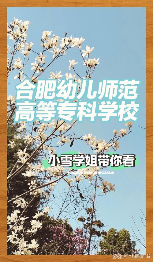 合肥公办幼师学校有哪些？-图2