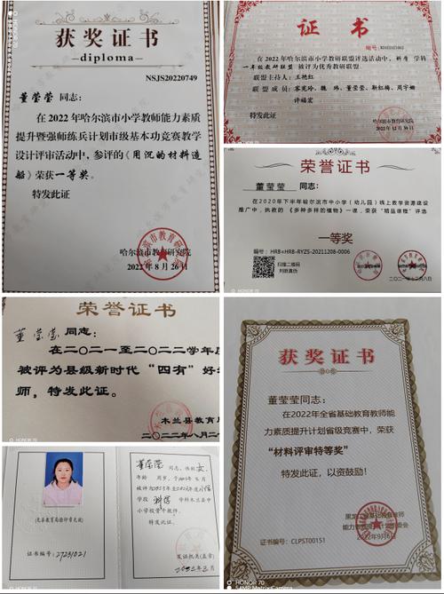 哈尔滨私立小学老师学历达标吗?-图3 哈尔滨私立小学老师学历达标吗?-图3