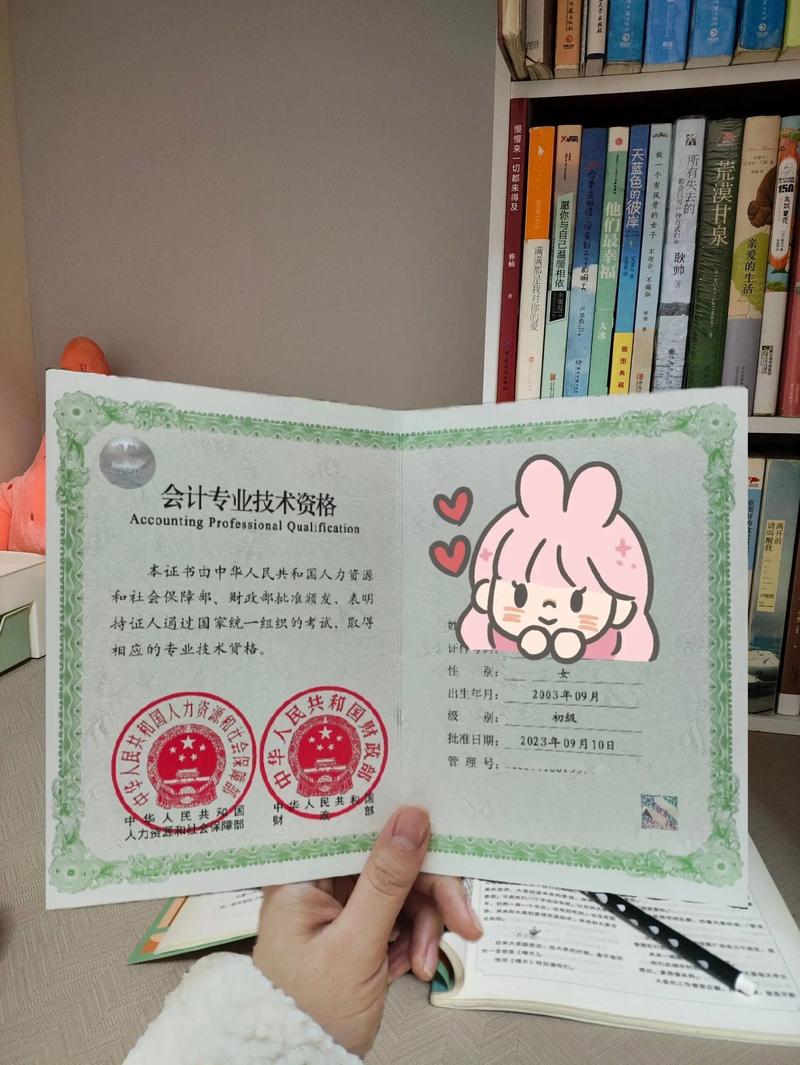 高中毕业能考初级会计吗？-图1