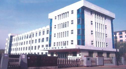 沈阳苏家屯重点小学排名是怎样的?-图1 沈阳苏家屯重点小学排名是怎样的?-图1