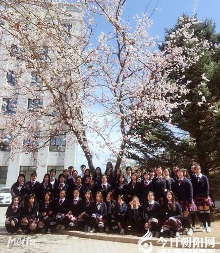 朝阳财经幼师招生办怎么联系?-图1 朝阳财经幼师招生办怎么联系?-图1