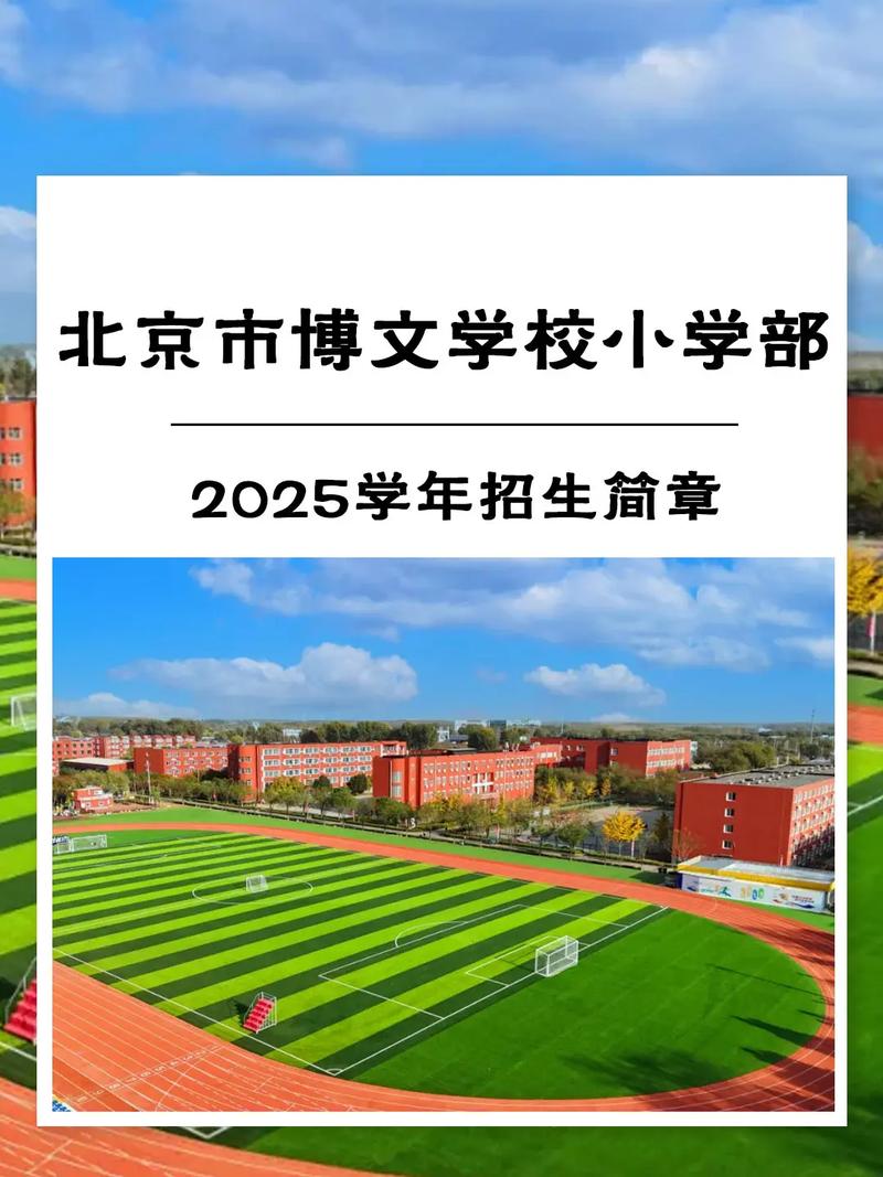 2025 WRO北京小学赛有何看点?-图3 2025 WRO北京小学赛有何看点?-图3
