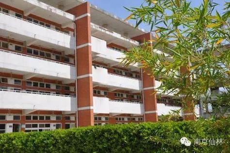 南京哪些高中开设日语课程？-图1