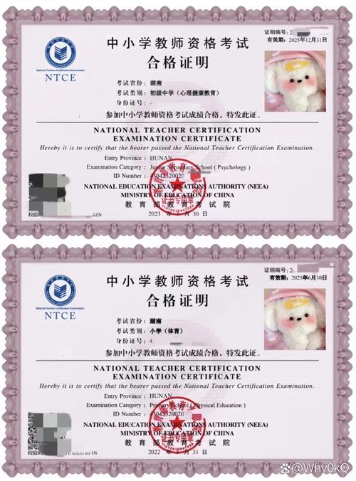 初中教资能考小学编码吗？-图1