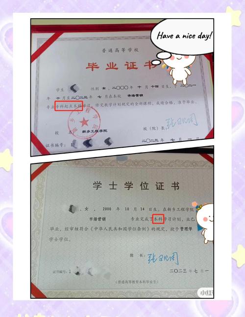 幼师专升本需要哪些必备证书？-图3