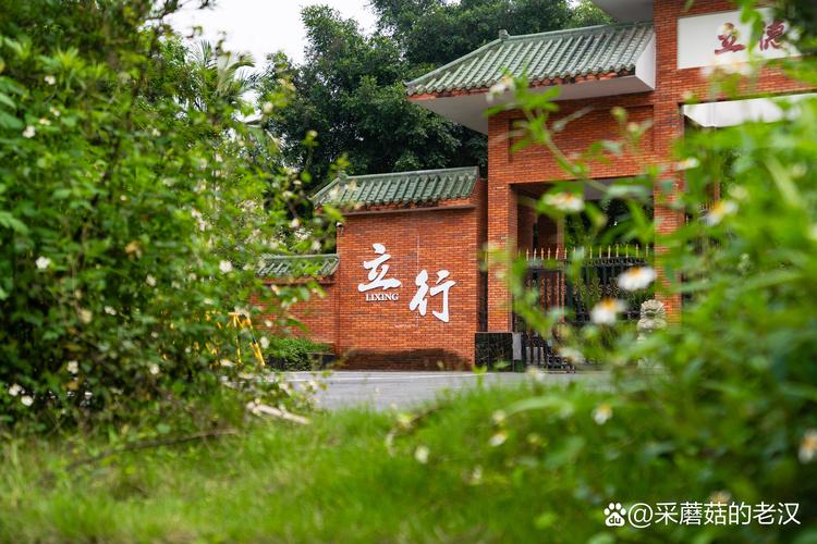 广州白云区初中复读学校怎么选？-图1