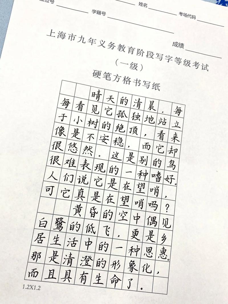 2025小学书法考级有哪些新变化？-图1