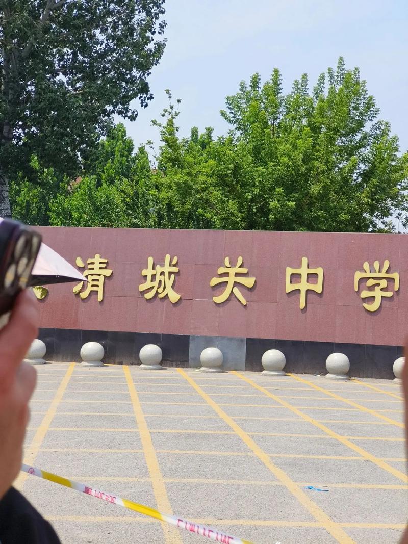 新洲刘集城关高中照片有何故事？-图2