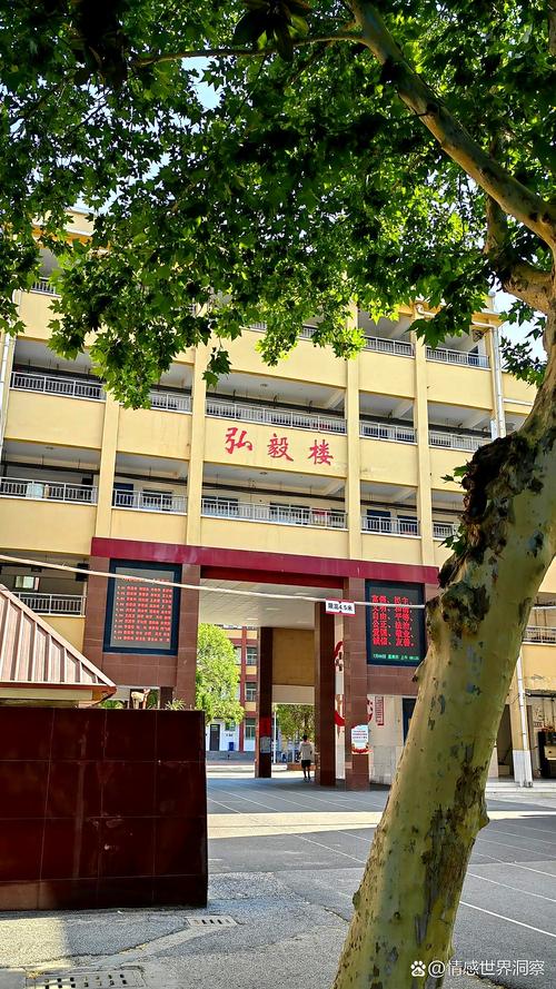 新洲刘集城关高中照片有何故事？-图3