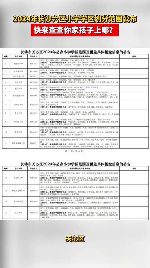 长沙岳麓区新民小学排名多少?-图3 长沙岳麓区新民小学排名多少?-图3