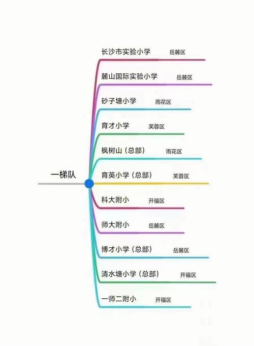 长沙岳麓区新民小学排名多少?-图2 长沙岳麓区新民小学排名多少?-图2
