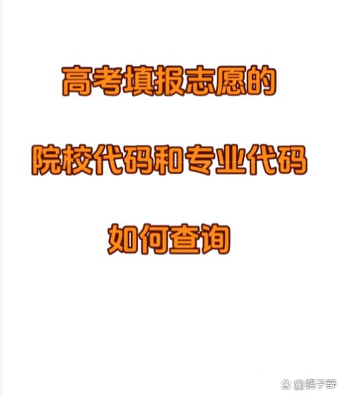 高中毕业院校代码怎么查？-图1