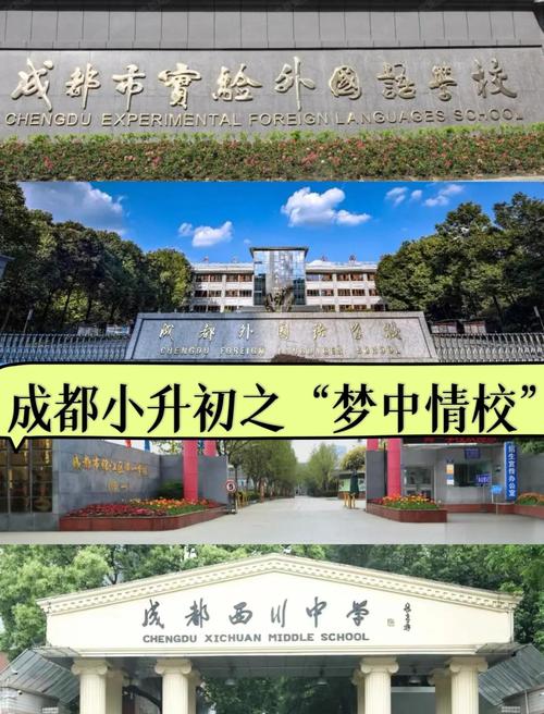 成都初中毕业3+2学校怎么选？-图1