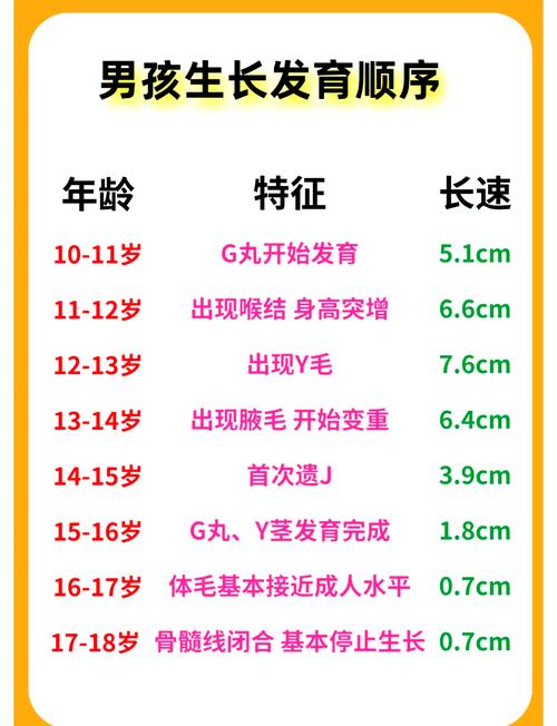 男孩升初中，家长该重点准备啥？-图2