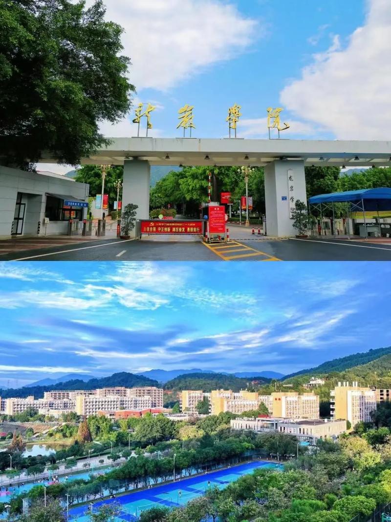 龙岩学院专升本小学教育怎么考？-图3