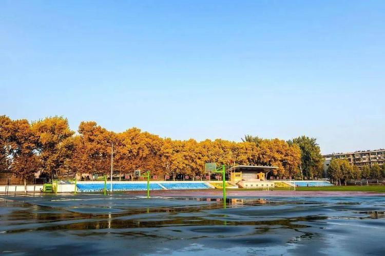 初中文凭自学Web开发能学会吗？-图2