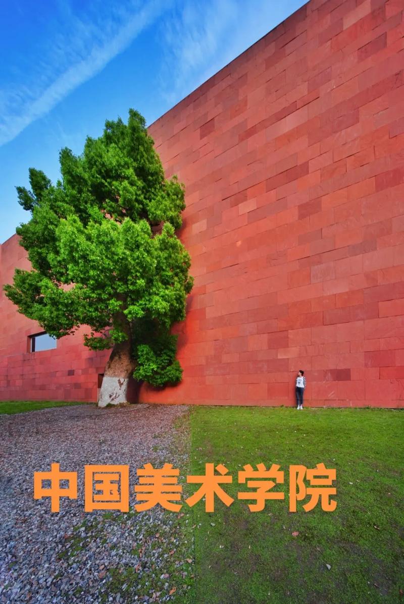 初中毕业如何考上美术学院？-图1