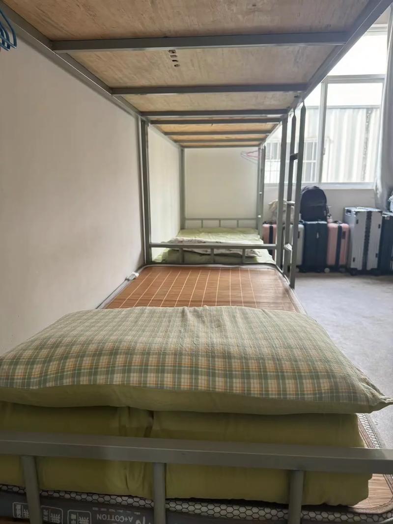 初中生什么可以室内工作-图1