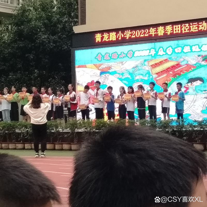 重庆 青龙路小学 排名-图2 重庆 青龙路小学 排名-图2