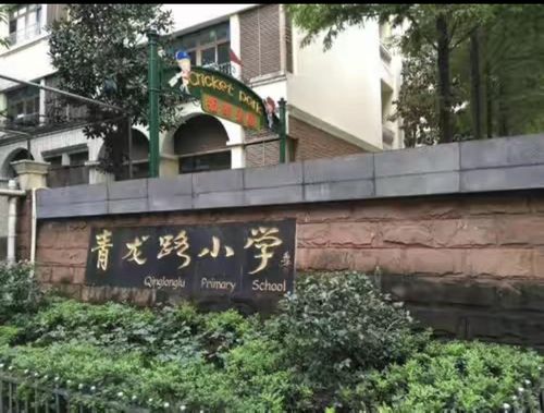 重庆 青龙路小学 排名-图3 重庆 青龙路小学 排名-图3