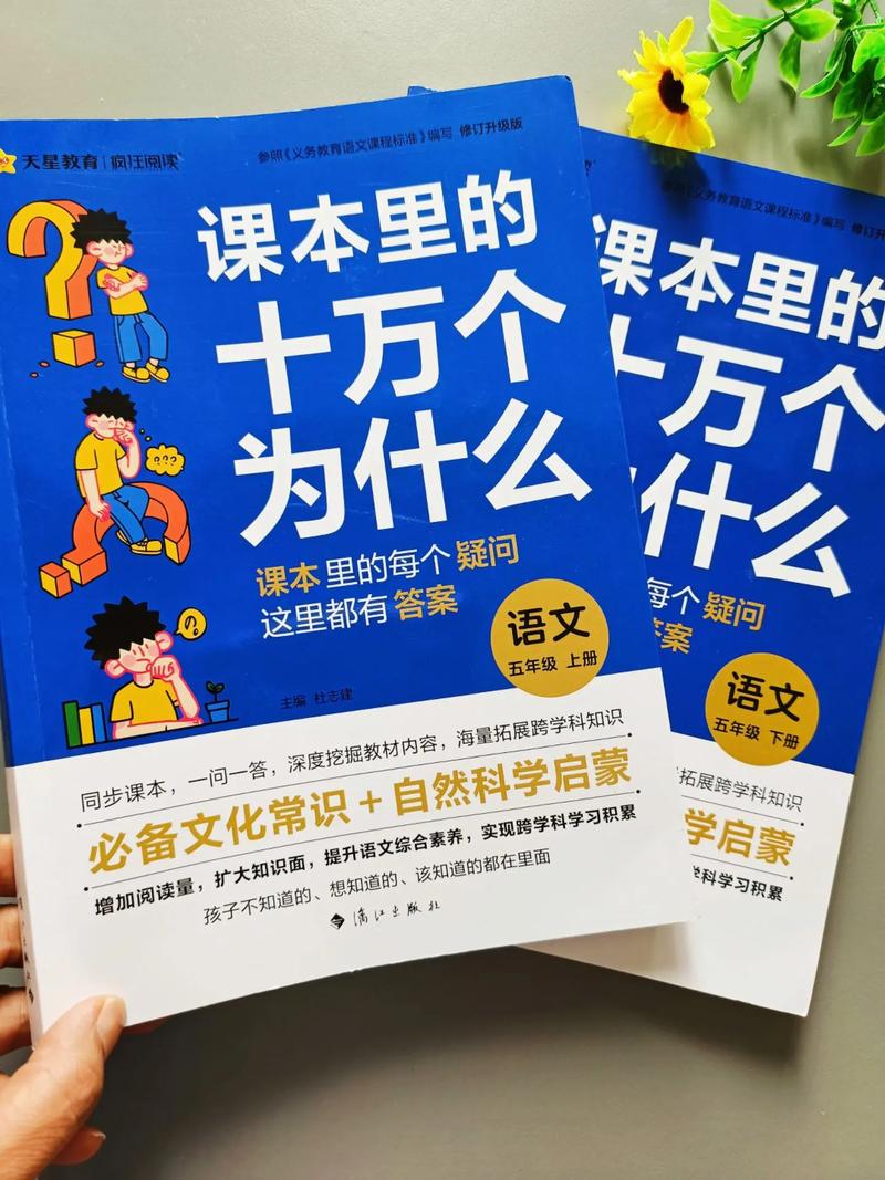 Y040107小学教育-图1