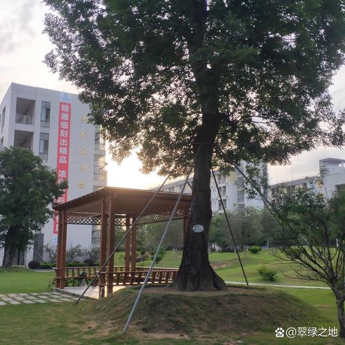 广东幼师专业 大专学校-图1