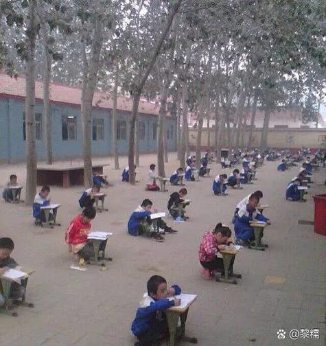 长沙赤岗冲小学2005-图2