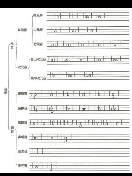 上海 小学 音标 书写-图3 上海 小学 音标 书写-图3