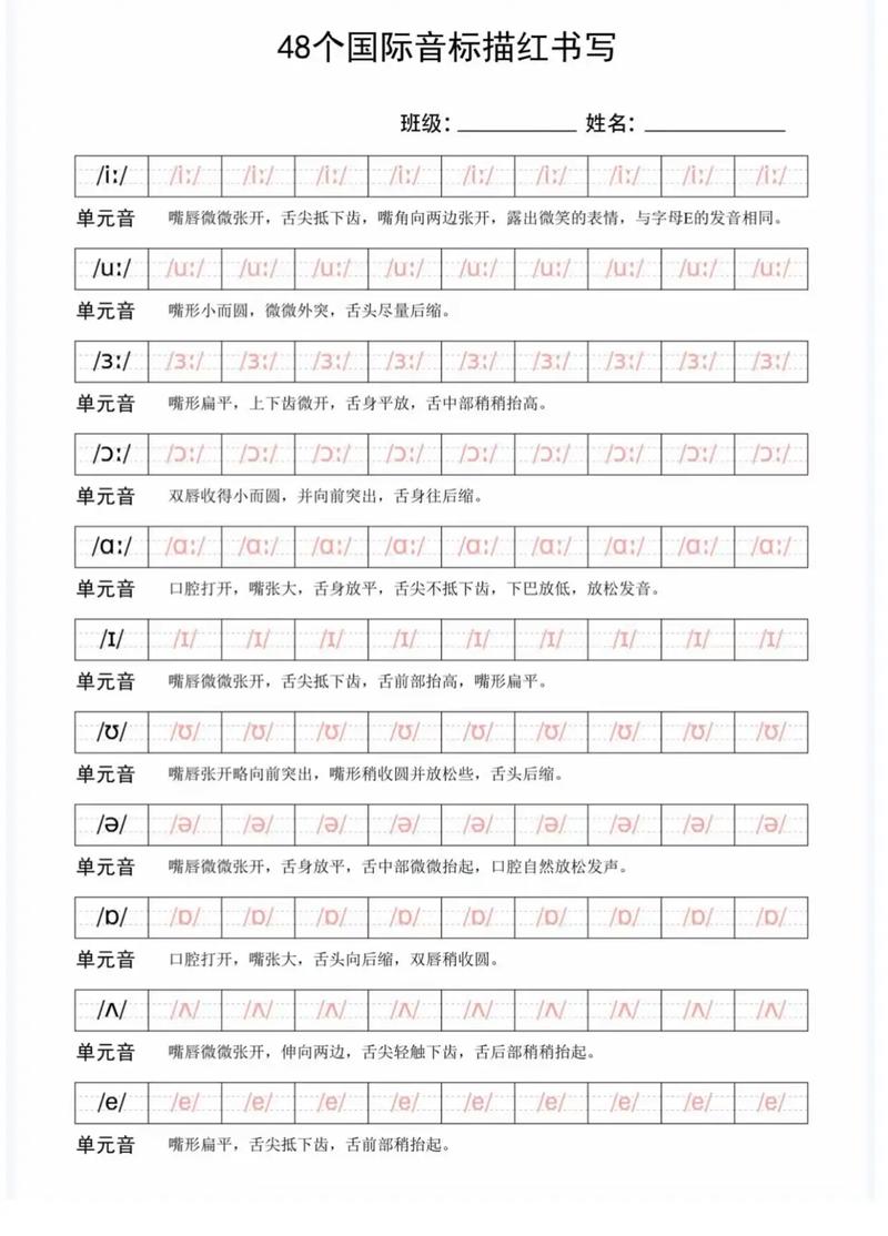 上海 小学 音标 书写-图2 上海 小学 音标 书写-图2