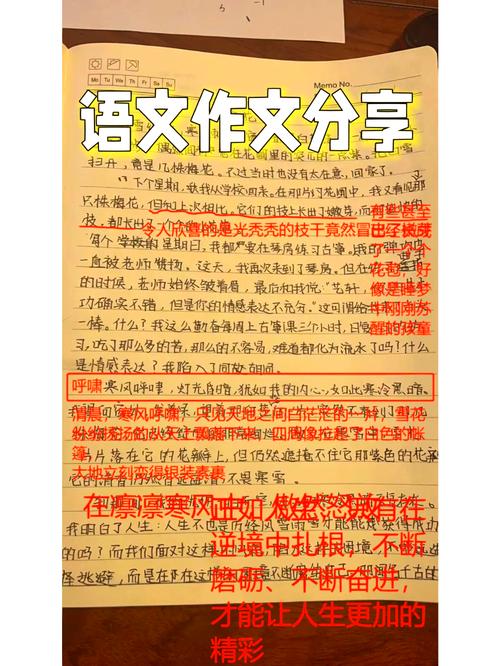 西郊初中作文辅导,哪家更有效?-图3 西郊初中作文辅导,哪家更有效?-图3