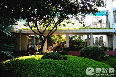 深圳罗湖笋岗中学高中-图3