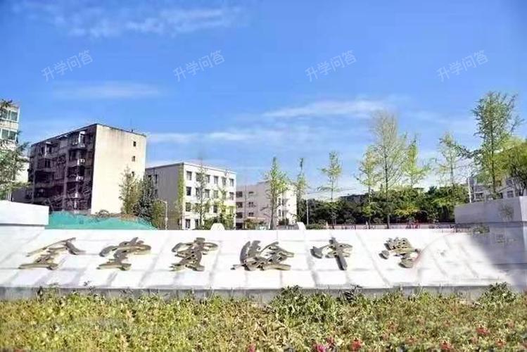 金堂实验中学高中网站-图1