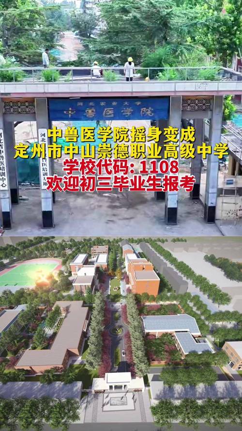 长春初中毕业学校代码怎么查?-图3 长春初中毕业学校代码怎么查?-图3