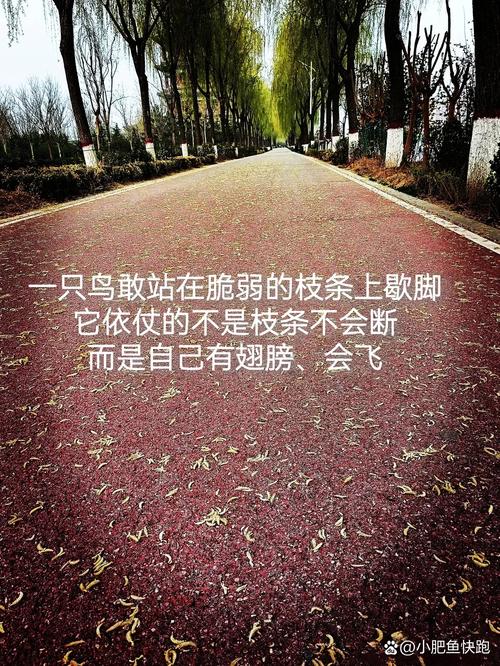 初中成绩差，未来就一定没出路吗？-图2